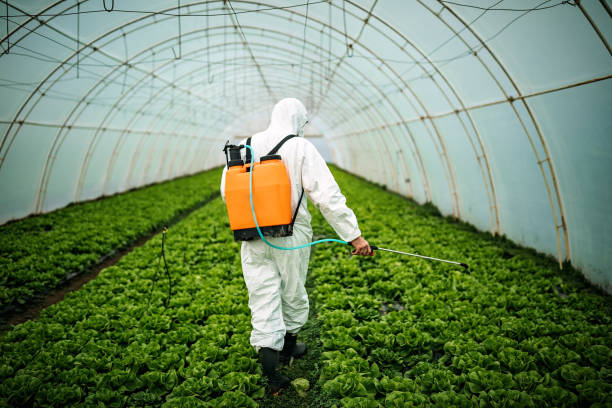 Best Pest Prevention Services  in Independence, MO