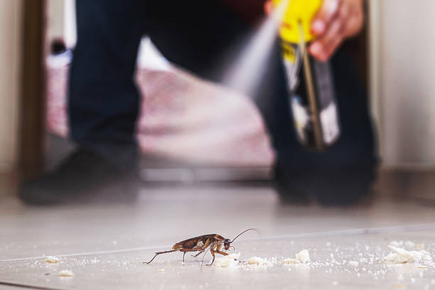 Best Commercial Pest Control Services  in Independence, MO